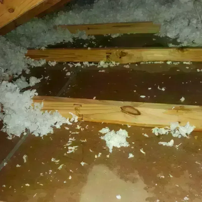 Attic Water Damage in Oradell, NJ